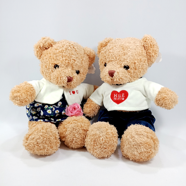 cute couple teddy bear